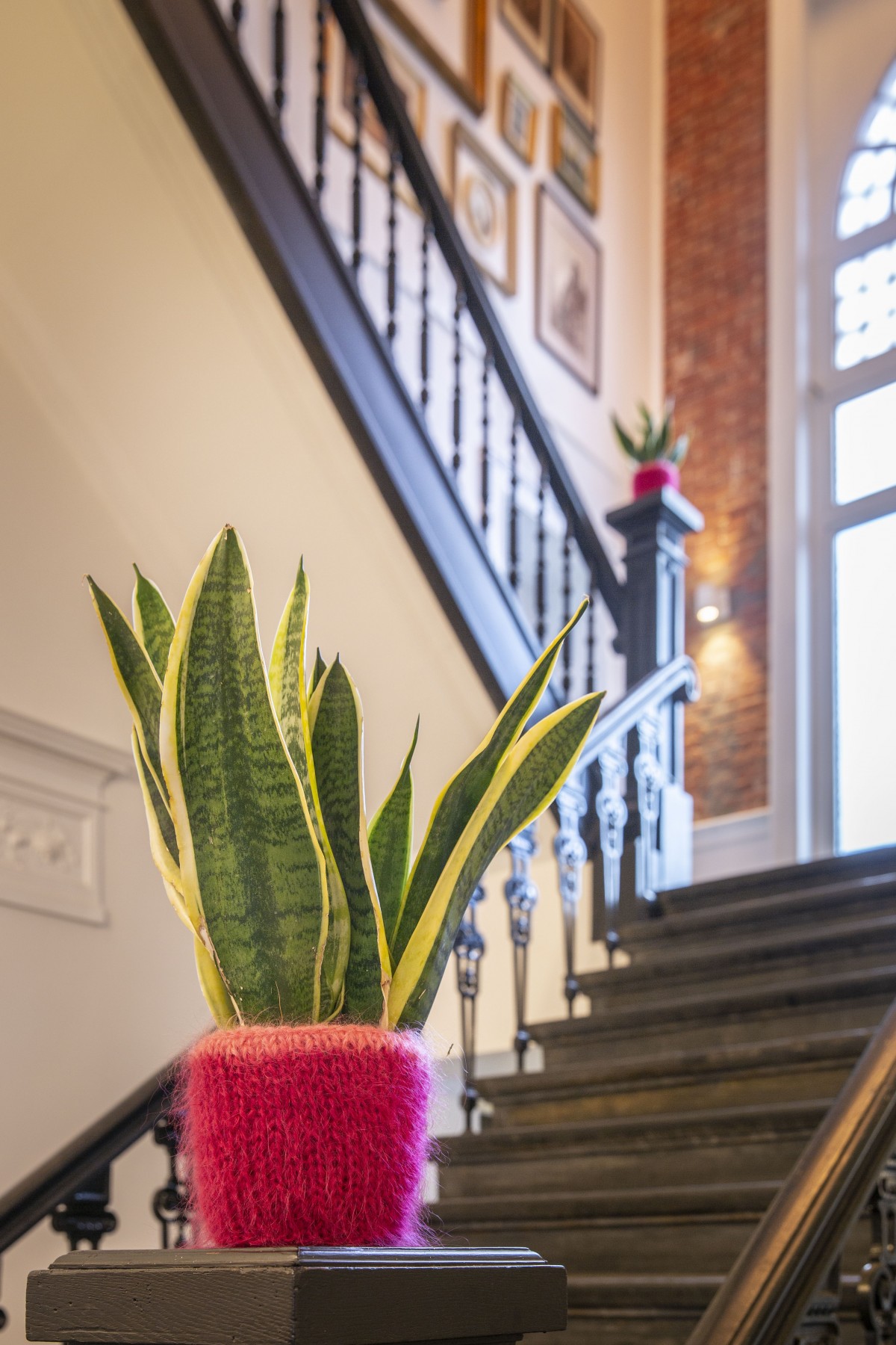 't Oud Gemeentehuis Kapellen Antwerpen Salino.be