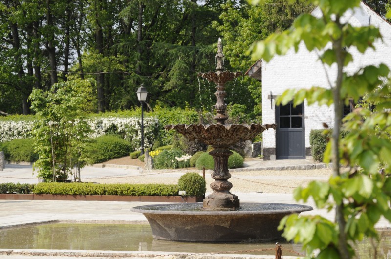 Waerboom