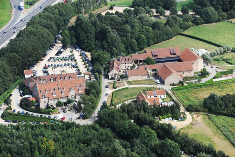 Waerboom