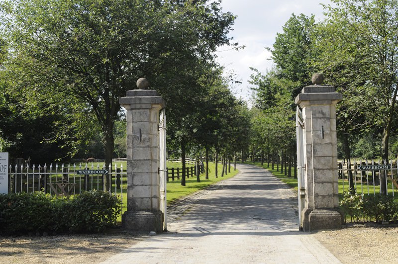Waerboom