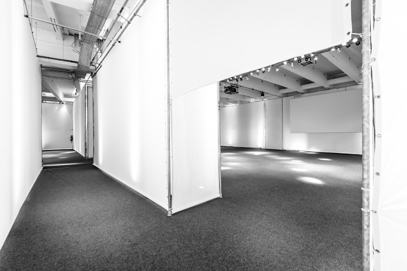Wild Gallery