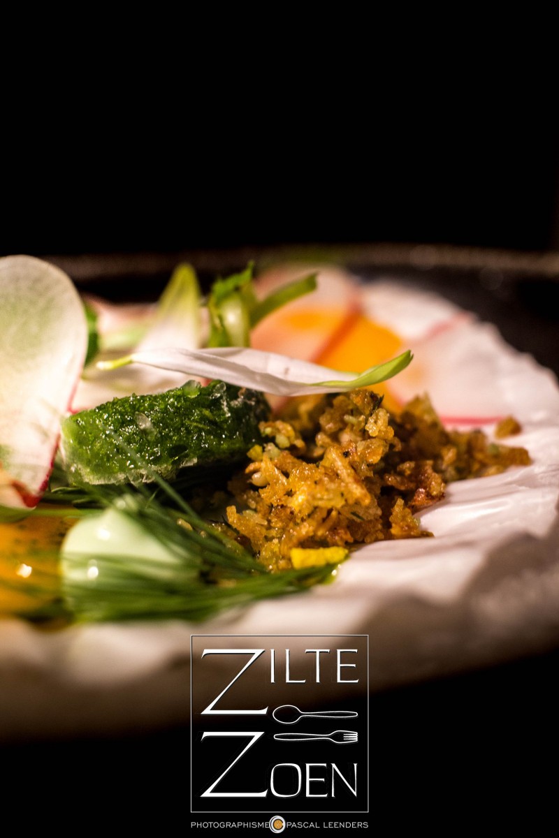 Zilte Zoen