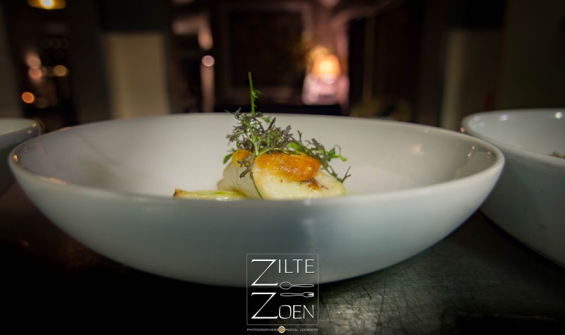 Zilte Zoen