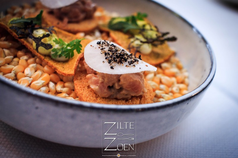 Zilte Zoen