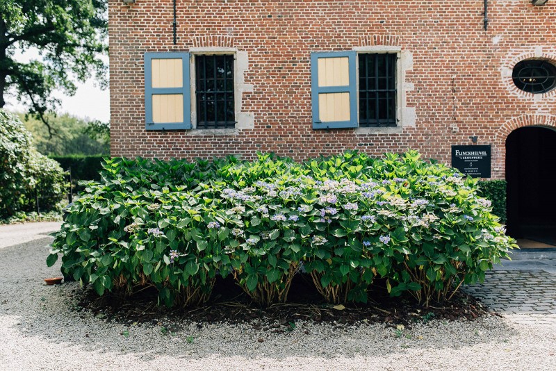 Flinckheuvel