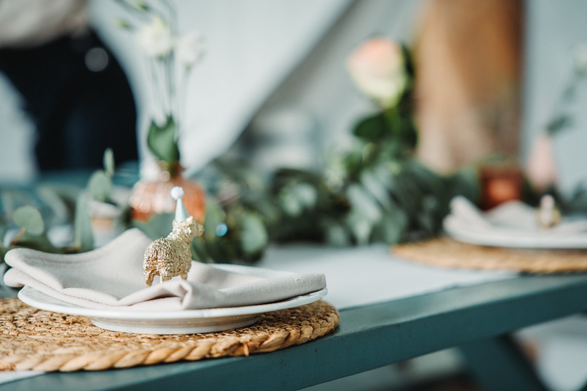 Zo organiseerde Parcours Parcoeurs een Communiefeest op een Kinderboerderij