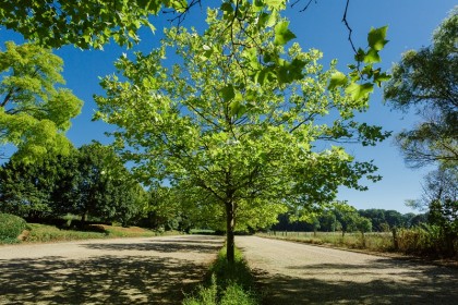 Stijlvol feest in een groene oase: Hof Te Rhode is the place to be